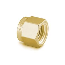 Swagelok Fitting, 1/8" Plug, Brass, 10-pk.