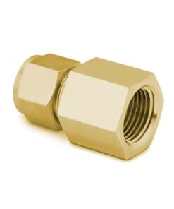 Swagelok Fitting, 1/4" to 1/4" NPT Female Connector, Brass, 5-pk.