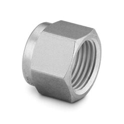 Swagelok Fitting, 1/16" Nut, Stainless Steel, 5-pk.