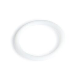 Pump O-Ring, for Waters ACQUITY, nanoACQUITY HPLC Systems