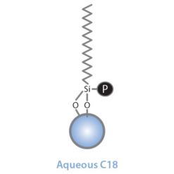 Alternative view of Pinnacle DB Aqueous C18, 1.9 µm, 100 x 2.1 mm HPLC Column