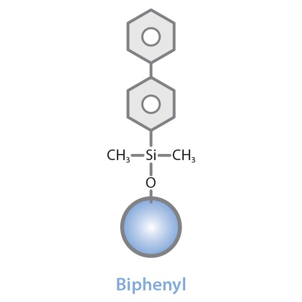 Ultra Biphenyl HPLC Prep Column, 5 µm, 250 x 21.2 mm - Image 2