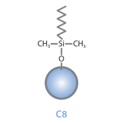 Alternative view of Viva C8, 5 µm, 100 x 1.0 mm HPLC Column