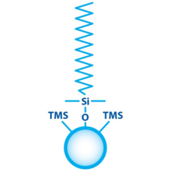 Alternative view of Force C18, 5 µm, 100 x 2.1 mm LC Column