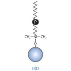Alternative view of Ultra IBD HPLC Prep Column, 5 µm, 100 x 10 mm