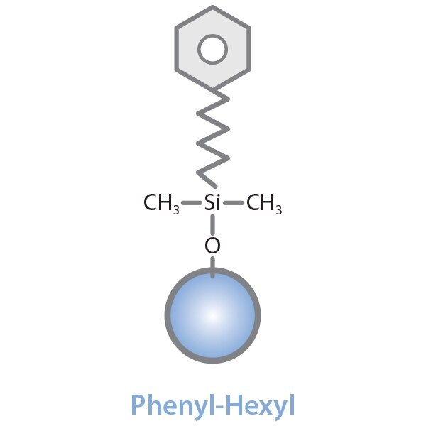 Roc Phenyl-Hexyl, 5 µm, 250 x 3.0 mm HPLC Column - Image 2