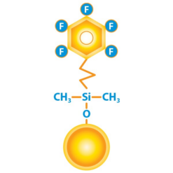 Alternative view of Raptor FluoroPhenyl, 1.8 µm, 150 x 2.1 mm HPLC Column