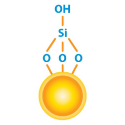 Alternative view of Raptor HILIC-Si, 2.7 µm, 100 x 2.1 mm HPLC Column