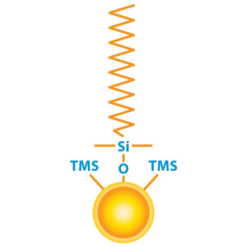 Alternative view of Raptor C18, 1.8 µm, 100 x 2.1 mm HPLC Column