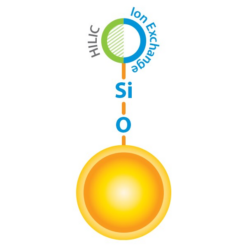 Alternative view of Raptor Polar X, 2.7 µm, 100 x 2.1 mm LC Column