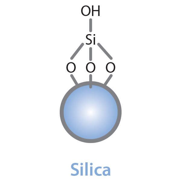 Allure Silica, 5 µm, 60 A, 50 x 4.6 mm HPLC Column - Image 2