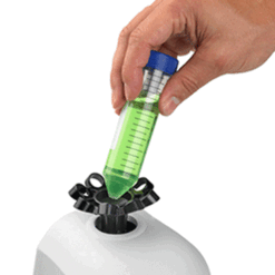 Alternative view of Mortexer  Vortex Mixer