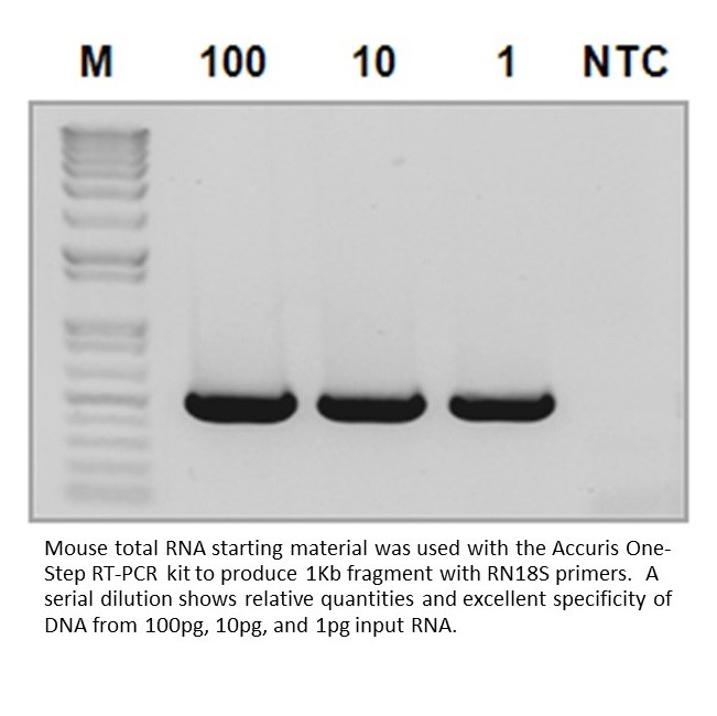 Accuris One-Step RT-PCR kit, 50 reactions - Image 2