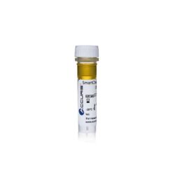 Accuris SmartCheck 1kb DNA Ladder, 500ul / 100 lanes