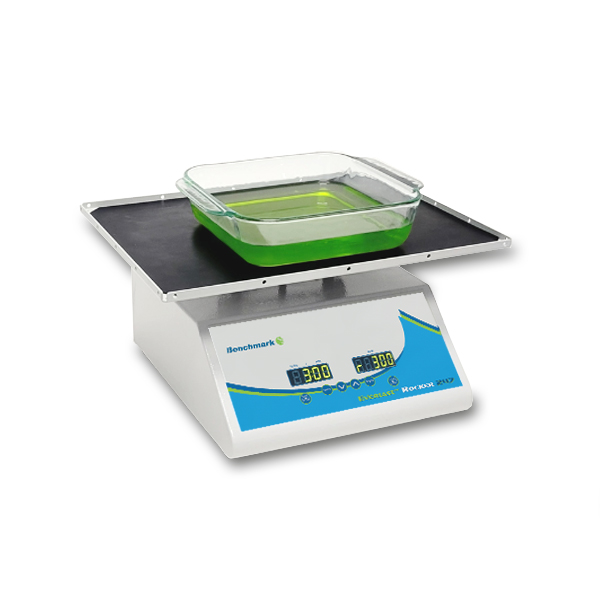 Everlast Rocker with Variable Speed and flat mat - Image 2