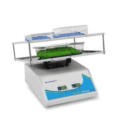 Everlast Rocker with Variable Speed and flat mat