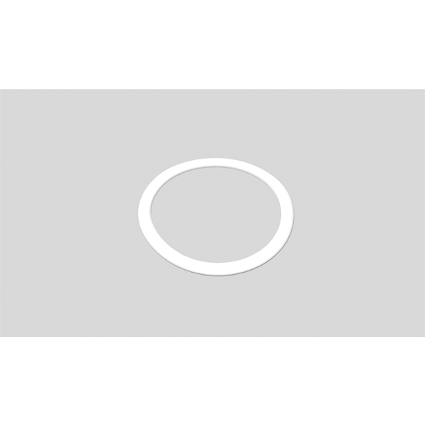 Replacement gasket for IPD9600-25S, each