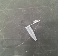 MICROTUBE CAP 1.5ML