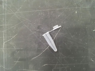 MICROTUBE CAP 1.5ML