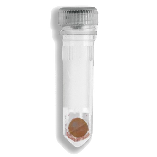 Prefilled 2.0ml tubes, Garnet Shards and one 6 mm Zirconium Bead, 50pk